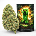THC-X Květy Creeper